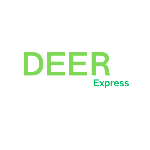 developer team