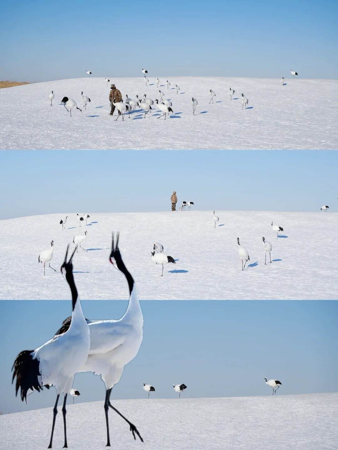 齐齐哈尔，一个让我失望又惊喜的城市！